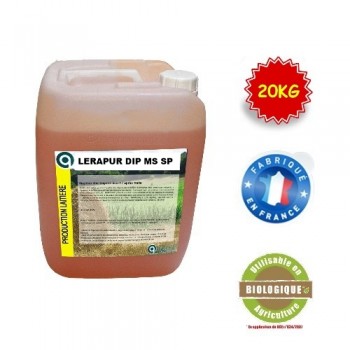OFFRE LERA DIP MS SP  " D "