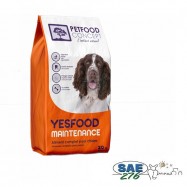 ALIMENT CHIEN MAINTENANCE