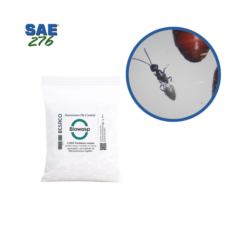 BIOWASP ZONES SECHES