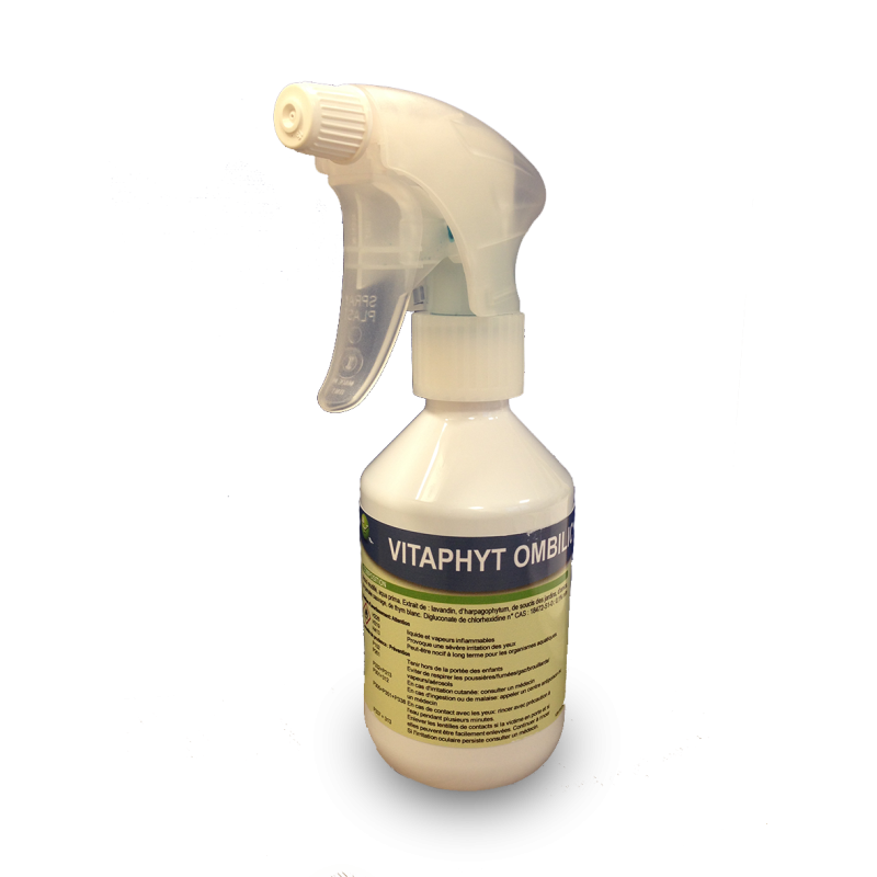 Désinfectant 1L