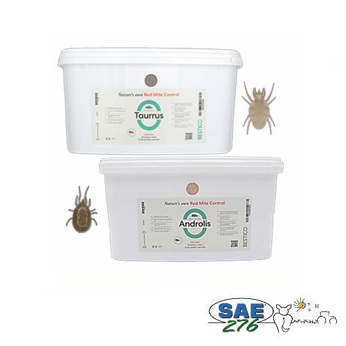 ANDROLIS " POUX ROUGE "