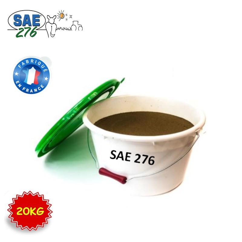 BLOC SAE PATURAGE 20 KG