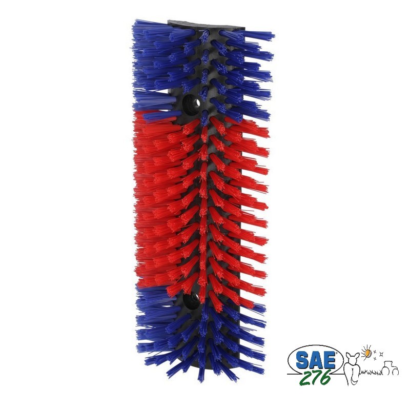 BROSSE MURALE