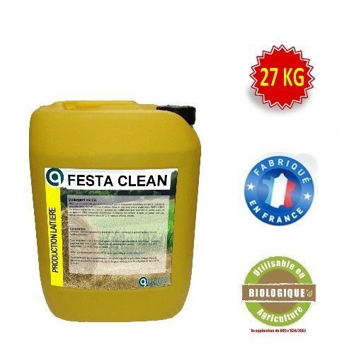 FESTA CLEAN