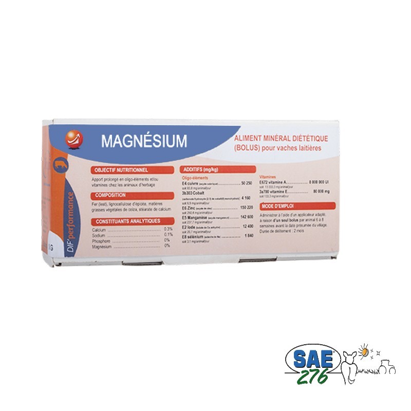 BOLUS MAGNESIUM