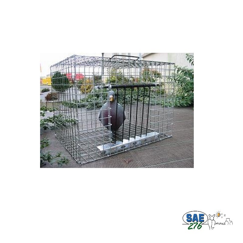 MODULE CAPTURE PIGEON