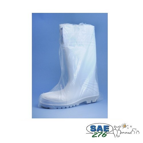 SURBOTTES