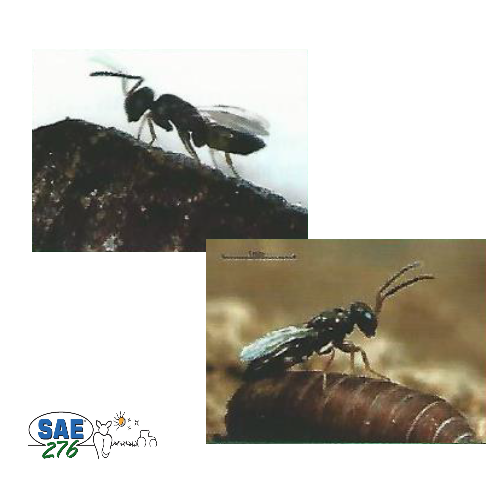 BIOPAR " Zone sèche "