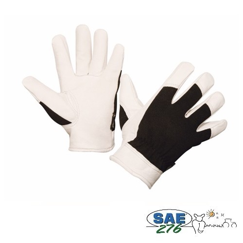 GANT MANUTENTION GRAPHYX II