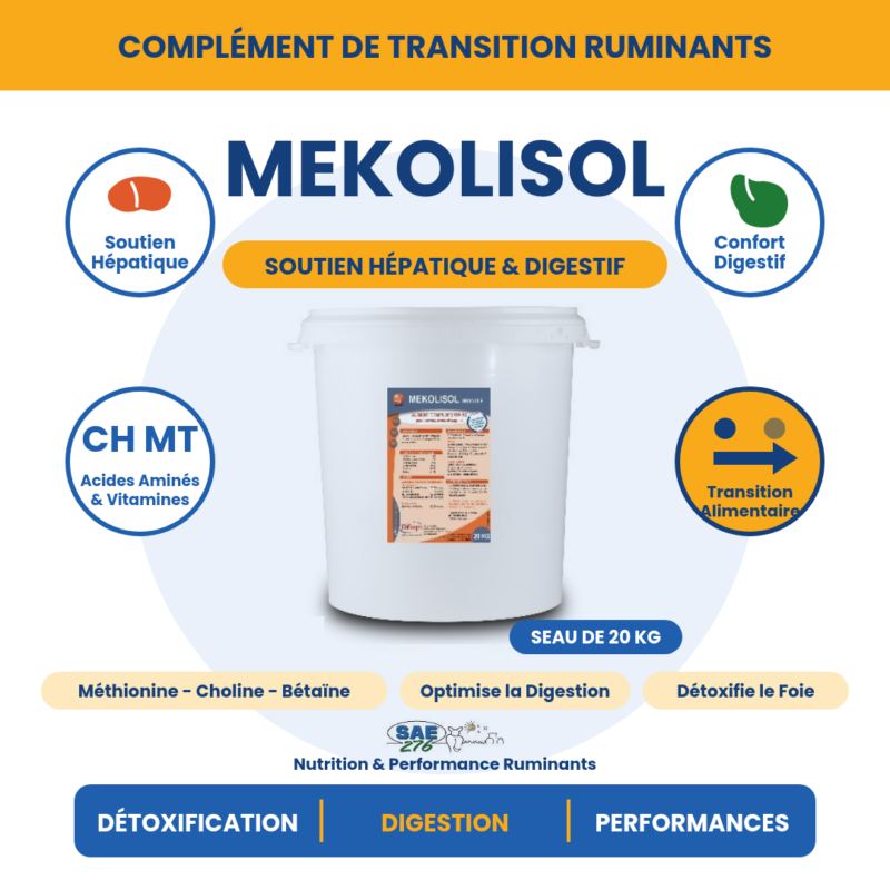 HEPATOT MEKOLISOL GR